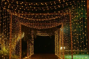Ground Lighting in Alwar